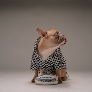 Handcrafted Pet ID Tags